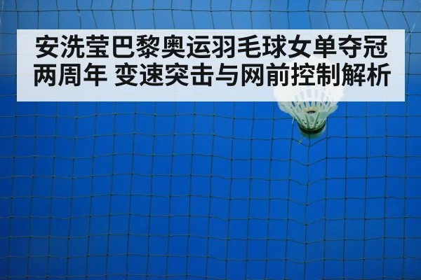 badminton net play